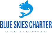 blue skies charter logo: a simple yet elegant logo featuring the words blue skies charter in blue font, against a white background